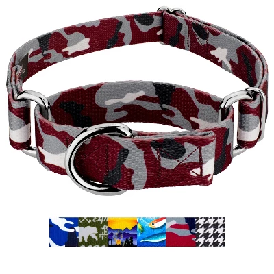 Country Brook Petz Martingale Dog Collar - Sports And Athletics Collection 6 Country Brook Petz Martingale Dog Collar - Sports And Athletics Collection - Image 4