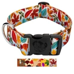 Country Brook Petz HossFit Jr Wide Deluxe Dog Collar - Awesome Autumn Collection -Pet Shop GUEST ef4b5c55 5caf 496a b624 b6624d069bb0