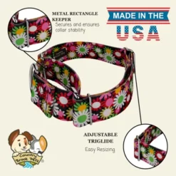 Country Brook Petz HossFit Jr Wide Martingale Dog Collar - Floral Collection -Pet Shop GUEST efe84d7a 88bf 4f0b a856 534460ec47bf