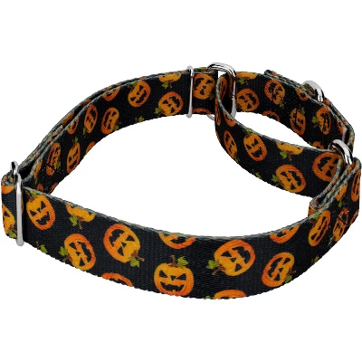 Country Brook Petz Happy Jack Martingale Dog Collar (1 Inch, Extra Large) 4 Country Brook Petz Happy Jack Martingale Dog Collar (1 Inch, Extra Large) - Image 2