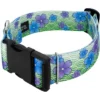 Country Brook Petz HossFit Jr Wide Deluxe Dog Collar - Spring Collection -Pet Shop GUEST f060b58f c0b6 4afe 9b6a 48c1add95a2b