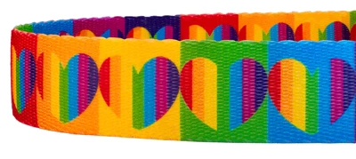 Country Brook Petz® 1 Inch Rainbow Hearts Dog Leash - 6 Foot 4 Country Brook Petz® 1 Inch Rainbow Hearts Dog Leash - 6 Foot - Image 2