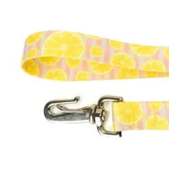 Country Brook Petz 6 Foot Dog Leash - Tasty Collection -Pet Shop GUEST f0835469 2549 4982 927a a382588fc23a