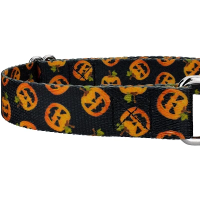 Country Brook Petz Happy Jack Martingale Dog Collar (1 Inch, Extra Large) 5 Country Brook Petz Happy Jack Martingale Dog Collar (1 Inch, Extra Large) - Image 3