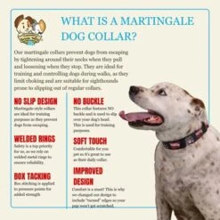 Country Brook Petz HossFit Jr Wide Martingale Dog Collar - Attitude Collection -Pet Shop GUEST f1732630 1e32 487d 9a29 68bcec43d460