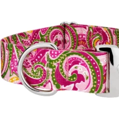 Country Brook Petz 1 1/2 Inch Premium Pink Paisley Dog Collar -Pet Shop GUEST f196f7df 3dd4 4fb7 865f 2be3802ddd60