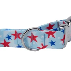 Country Brook Petz HossFit Jr Wide Premium Dog Collar - Americana Collection 6 Country Brook Petz HossFit Jr Wide Premium Dog Collar - Americana Collection -Pet Shop GUEST f2a58005 10d2 46b6 89bb c1020ba0e199