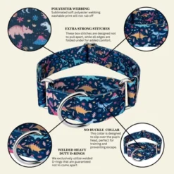 Country Brook Petz HossFit Jr Wide Martingale Dog Collar - Critter Corner Collection -Pet Shop GUEST f35ffa6d b813 42b4 abb4 255d4f9bd76a