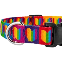 Country Brook Petz Deluxe Rainbow Hearts Dog Collar - Made In The U.S.A. -Pet Shop GUEST f36c6c2c 4ab0 45c4 9704 c0c0a0577d1c
