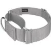 Country Brook Petz 1 1/2 Inch Martingale Heavyduty Nylon Dog Collar -Pet Shop GUEST f39b55d1 b47c 4c77 898a abb37ba808f6