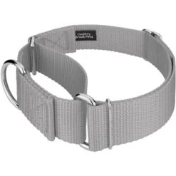 Country Brook Petz 1 1/2 Inch Martingale Heavyduty Nylon Dog Collar