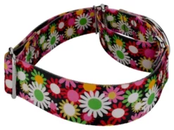 Country Brook Petz 1 1/2 Inch Daisy Fields Martingale Dog Collar 12 Country Brook Petz 1 1/2 Inch Daisy Fields Martingale Dog Collar -Pet Shop GUEST f3b566c5 5777 4758 9628 9b7f28adaded