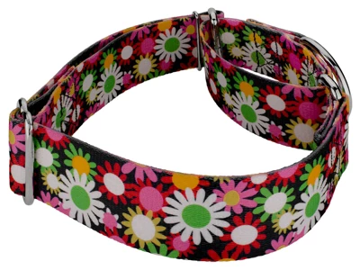 Country Brook Petz 1 1/2 Inch Daisy Fields Martingale Dog Collar 6 Country Brook Petz 1 1/2 Inch Daisy Fields Martingale Dog Collar - Image 4
