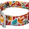 Country Brook Petz 1 1/2 Inch Premium Brisk Autumn Dog Collar
