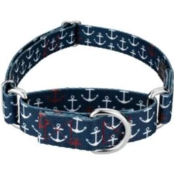 Country Brook Petz Anchors Away Martingale Dog Collar (1 Inch, Large) -Pet Shop GUEST f4045026 c656 43b6 a3eb 1b87db6af74a 1