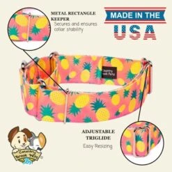 Country Brook Petz HossFit Jr Wide Martingale Dog Collar, Tasty Collection -Pet Shop GUEST f4316637 0894 46ac b1a7 05404eeb3609