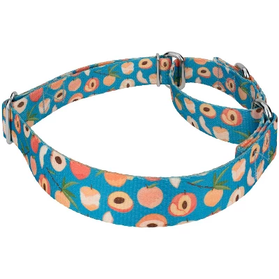 Country Brook Petz Peaches Martingale Dog Collar 4 Country Brook Petz Peaches Martingale Dog Collar - Image 2