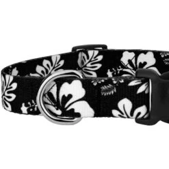 Country Brook Petz Black Hawaiian Deluxe Dog Collar And Leash -Pet Shop GUEST f4ddec2c 830f 4a8d bb56 00fa0f241bd4