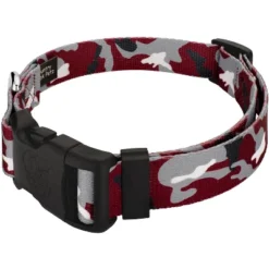 Country Brook Petz Deluxe Dog Collar - Sports And Athletics Collection - Made In The U.S.A. -Pet Shop GUEST f6a81e2e 3c8c 446b 97c8 17c918739456