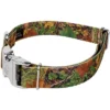 Country Brook Petz Premium Southern Forest Camo Dog Collar -Pet Shop GUEST f6c18a59 149b 447e 8217 a8ba54108940