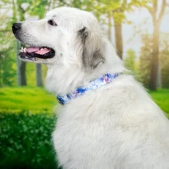 Country Brook Petz - Watercolor Butterflies Martingale Dog Collar -Pet Shop GUEST f6cad28d 5f44 4d28 97b2 30324ec47abf