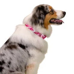 Country Brook Petz 1 1/2 Inch Pink Hawaiian Martingale Dog Collar 16 Country Brook Petz 1 1/2 Inch Pink Hawaiian Martingale Dog Collar -Pet Shop GUEST f723ac55 8911 4245 829c c7a36cf91d32