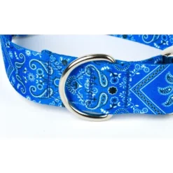 Country Brook Petz HossFit Jr Wide Premium Dog Collar - Country And Western Collection -Pet Shop GUEST f8379333 ef8b 4e3d 8324 847a3031e04f