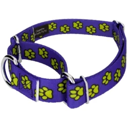 Country Brook Petz Blue Busy Paws Martingale Dog Collar And Leash Limited Edition