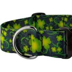 Country Brook Petz HossFit Jr Wide Deluxe Dog Collar - Irish Pride Collection -Pet Shop GUEST f8bfcbcc d12e 41f5 be7d 280b236f30b6