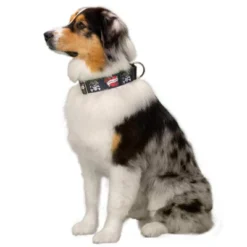 Country Brook Petz 1 1/2 Inch I Love Mom Martingale Dog Collar