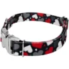 Country Brook Petz Premium Dog Collar - Affection Collection -Pet Shop GUEST f918861d f511 4df8 ba24 07a83515fe60