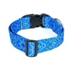 Country Brook Petz HossFit Jr Wide Deluxe Dog Collar - Country And Western Collection 9 Country Brook Petz HossFit Jr Wide Deluxe Dog Collar - Country And Western Collection -Pet Shop GUEST f9697e35 0b75 4113 b50a 6474d5f0d4ba