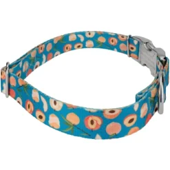 Country Brook Petz Premium Dog Collar - Tasty Collection -Pet Shop GUEST fa1a24ec 6299 4ea9 ae8f 66b0e29b82ff
