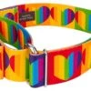 Country Brook Petz 1 1/2 Inch Rainbow Hearts Martingale Dog Collar -Pet Shop GUEST fb6ccb92 a905 4cf3 8838 0d28217f51e4