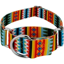 Country Brook Petz 1 1/2 Inch Summer Pines Martingale Dog Collar -Pet Shop GUEST fb8e7401 a338 46f1 bdfb daabd174aa4a