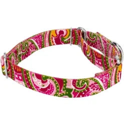 Country Brook Petz Pink Paisley Martingale Dog Collar And Leash 18 Country Brook Petz Pink Paisley Martingale Dog Collar And Leash -Pet Shop GUEST fc2e7bb8 dbed 45b2 94fc 74070b1bf5b5