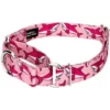 Country Brook Petz Pink Sharks Martingale Dog Collar And Leash 1 Country Brook Petz Pink Sharks Martingale Dog Collar And Leash -Pet Shop GUEST fc6e4d9e 20fd 47f4 b98e 4c388b0cc89d