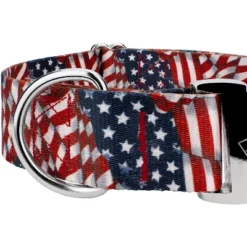 Country Brook Petz 1 1/2 Inch Premium Patriotic Tribute Dog Collar 13 Country Brook Petz 1 1/2 Inch Premium Patriotic Tribute Dog Collar -Pet Shop GUEST fc7c951a 1605 4ef2 a8d3 5ff54d691299