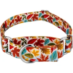 Country Brook Petz Brisk Autumn Martingale Dog Collar -Pet Shop GUEST fc8212b1 9dd4 42b4 9cac 416fadb94455