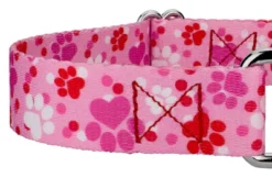 Country Brook Design Puppy Love Martingale Dog Collar -Pet Shop GUEST fce6d3b2 4eb1 4359 a7dc 4c2cf74a17da