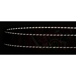 Country Brook Petz Deluxe Reflective Dog Leash 6 Foot Length 9 Country Brook Petz Deluxe Reflective Dog Leash 6 Foot Length -Pet Shop GUEST fd355b27 6851 4646 89cb d2d01f75eb3b