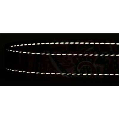 Country Brook Petz Deluxe Reflective Dog Leash 6 Foot Length 5 Country Brook Petz Deluxe Reflective Dog Leash 6 Foot Length - Image 3