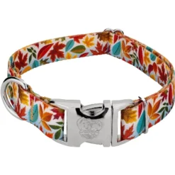 Country Brook Petz Premium Brisk Autumn Dog Collar 10 Country Brook Petz Premium Brisk Autumn Dog Collar -Pet Shop GUEST fd8c69ad b6d4 48ea 956c b9e623eb9c80