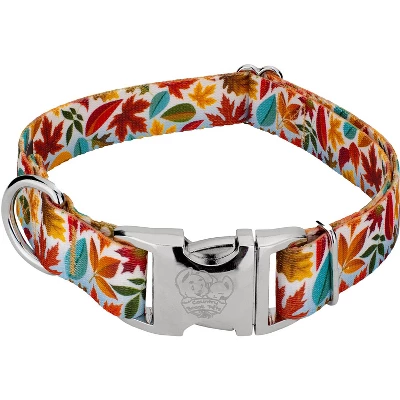 Country Brook Petz Premium Brisk Autumn Dog Collar 6 Country Brook Petz Premium Brisk Autumn Dog Collar - Image 4