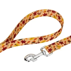 Country Brook Petz Fall Foliage Martingale Dog Collar And Leash -Pet Shop GUEST fe35dd48 0b51 45e8 b99d c004368d5dfa