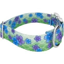 Country Brook Petz HossFit Jr Wide Premium Dog Collar - Spring Collection -Pet Shop GUEST ff24d0f3 628f 46db 9e58 f70c65317207