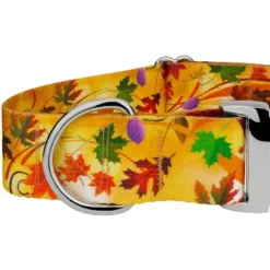 Country Brook Petz HossFit Jr Wide Premium Dog Collar - Awesome Autumn Collection -Pet Shop GUEST fff10b3b 8361 45a9 b77b 9e7861223c57