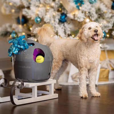 Front Page -Pet Shop fd11c10a37885d40b694ab4807256824638a4323 400x400 1